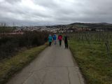 Nordic Walking